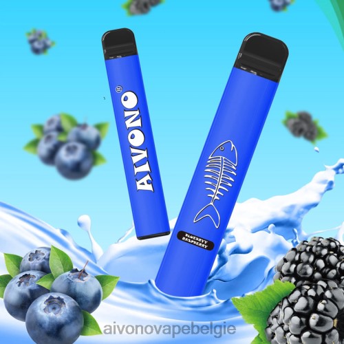 Aivono AIM FISHBONE 600 bosbes framboos FFRN0281 - Aivono Vape Review