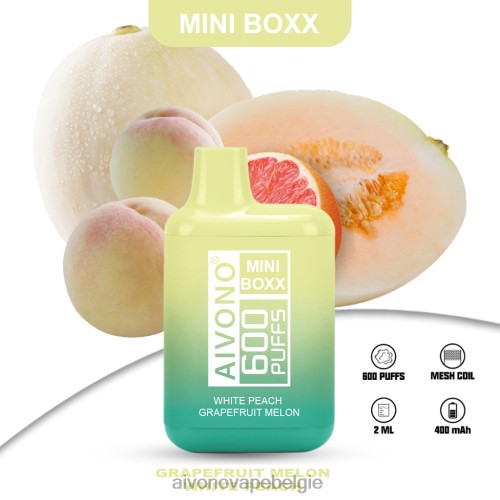 Aivono AIM MINI BOXX 600 witte perzik-grapefruitmeloen FFRN0241 - Aivono Vape Review