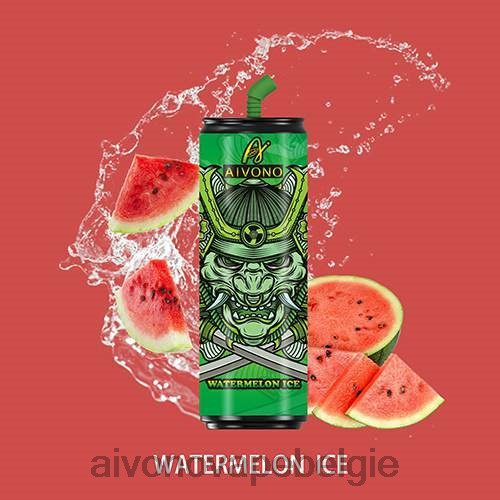 watermeloen ijs