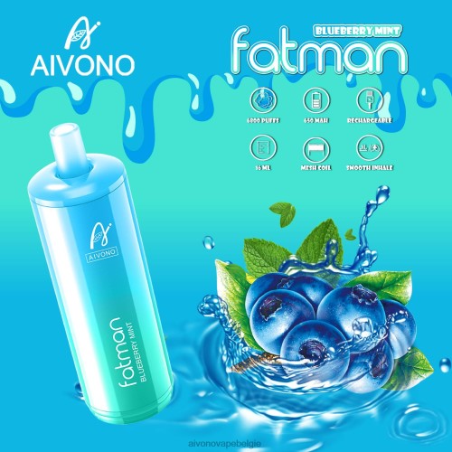 Aivono FATMAN 6800 bosbessen munt FFRN022 - Aivono Vape Price