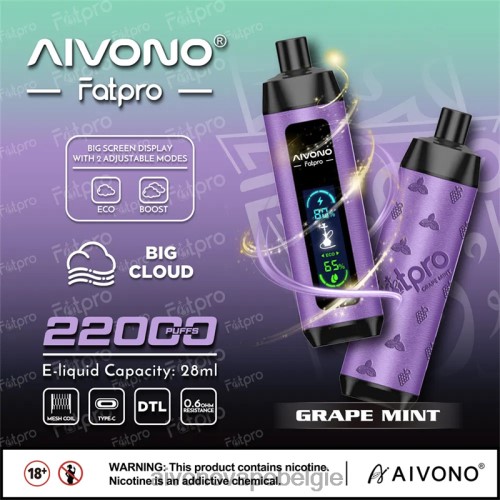 Aivono Fatpro 22000 druiven munt FFRN02 - Aivono Vape Price